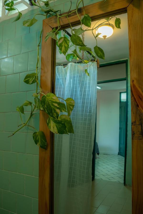 La Casa Del Sombrero Apartment Santa Marta  Luaran gambar